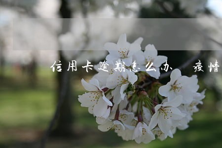 信用卡逾期怎么办 疫情期间 信用卡逾期怎么办 疫情期间